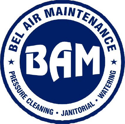 BAM logo